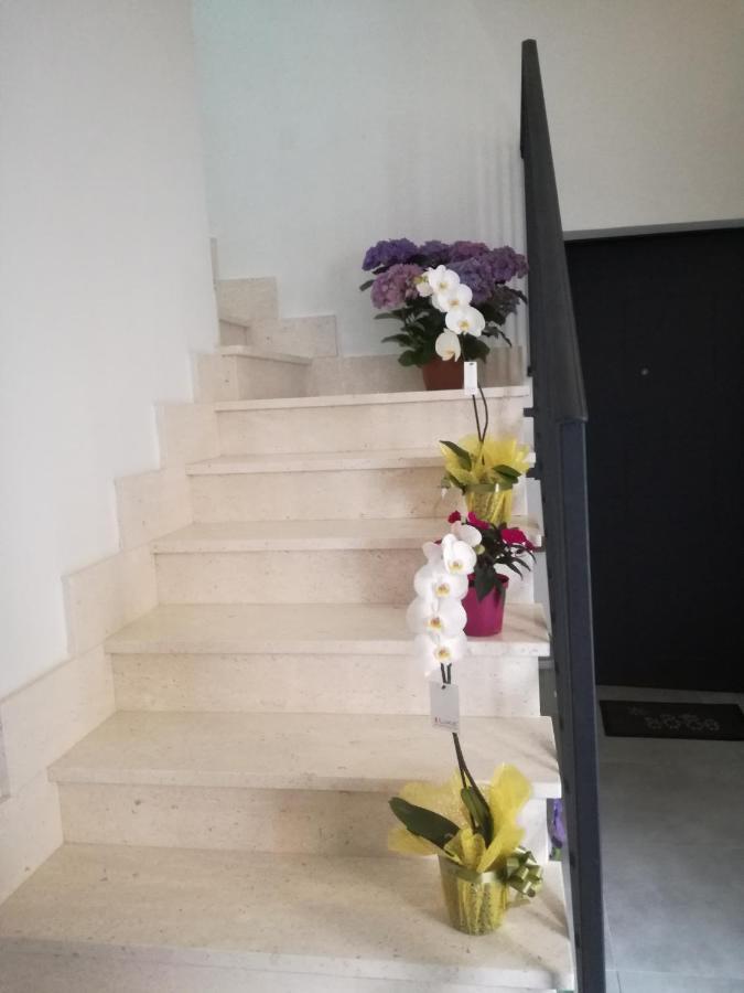 Adagiostay Elmas Екстериор снимка